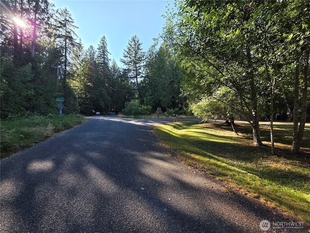 151 E Lakeshore Dr E, Shelton, WA 98584 - photo 9