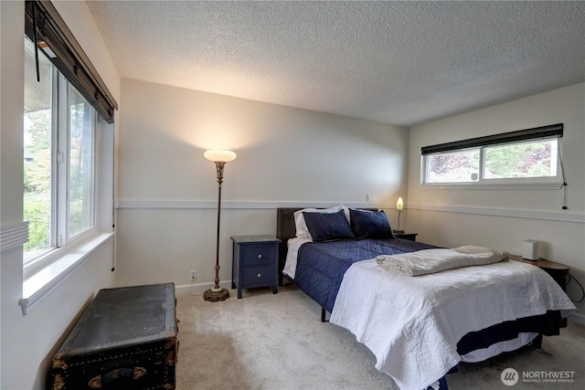 3233 45th Ave SW, Seattle, WA 98116 - photo 26