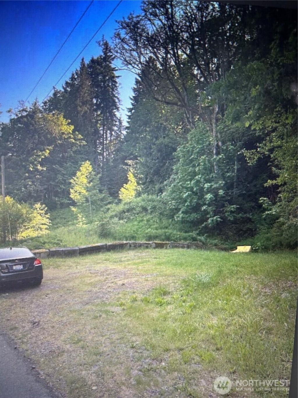 0 Cottonwood Ln W, Port Angeles, WA 98362 - photo 1