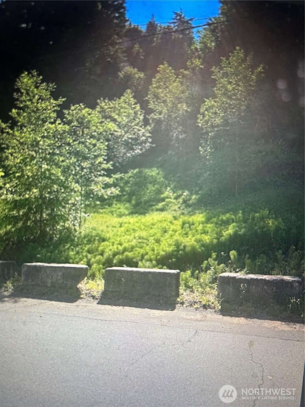 0 Cottonwood Ln W, Port Angeles, WA 98362 - photo 2