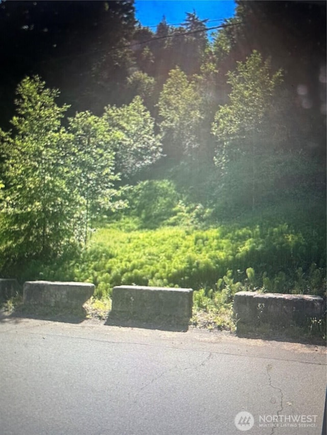 0 Cottonwood Ln W, Port Angeles, WA 98362 - photo 2