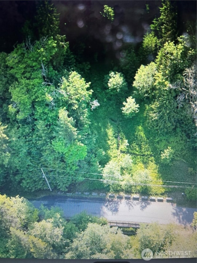 0 Cottonwood Ln W, Port Angeles, WA 98362 - photo 4