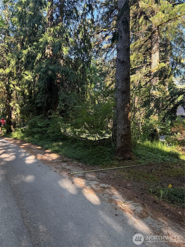 0 Miller River Rd NE, Skykomish, WA 98288 - photo 4