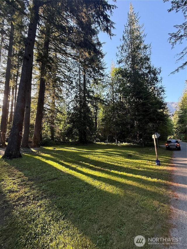 0 Miller River Rd NE, Skykomish, WA 98288 - photo 2