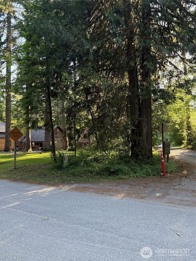 0 Miller River Rd NE, Skykomish, WA 98288 - photo 1