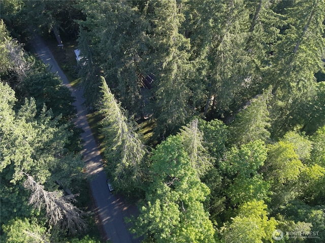 0 Miller River Rd NE, Skykomish, WA 98288 - photo 7