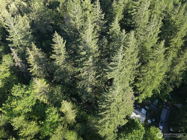 0 Miller River Rd NE, Skykomish, WA 98288 - photo 8