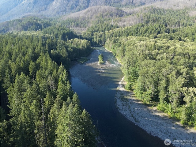 0 Miller River Rd NE, Skykomish, WA 98288 - photo 9