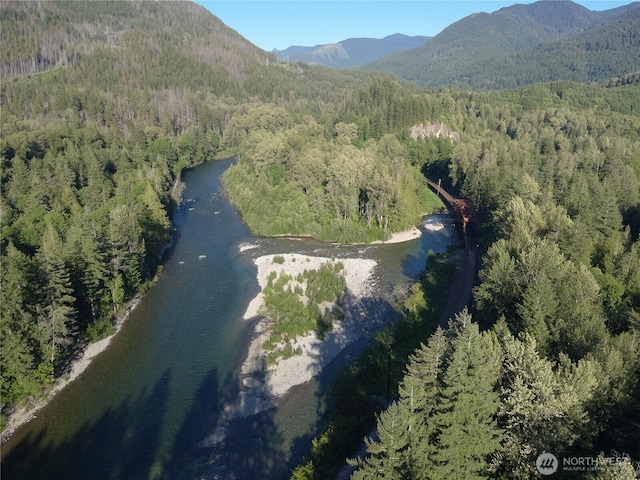 0 Miller River Rd NE, Skykomish, WA 98288 - photo 10