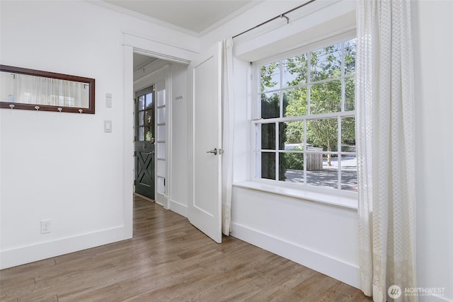 419 NE 88th, Seattle, WA 98115 - photo 20
