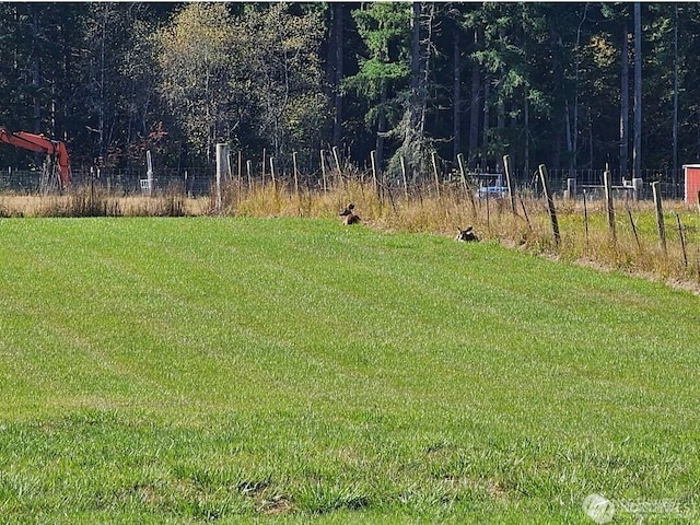 343 Hawkins Rd, Winlock, WA 98596 - photo 20