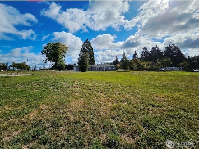 343 Hawkins Rd, Winlock, WA 98596 - photo 21