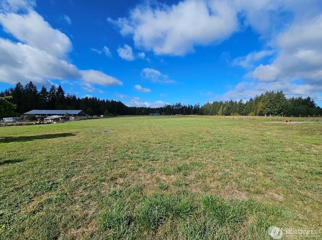 343 Hawkins Rd, Winlock, WA 98596 - photo 23