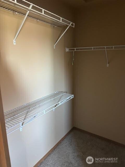 14951 91st Ave SE, Yelm, WA 98597 - photo 9