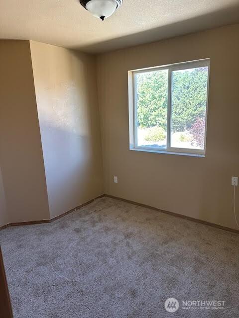 14951 91st Ave SE, Yelm, WA 98597 - photo 10
