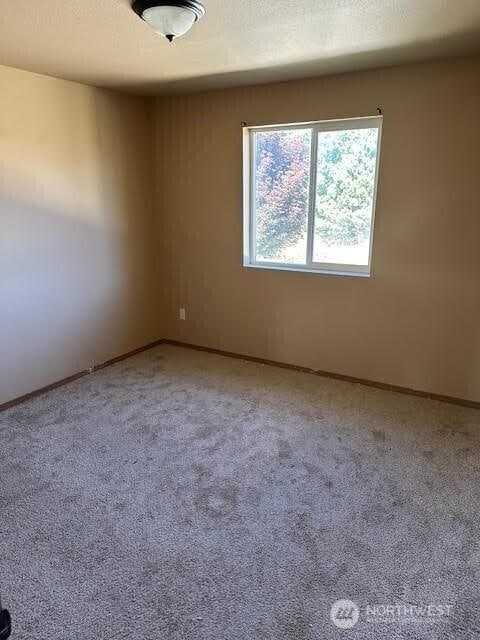 14951 91st Ave SE, Yelm, WA 98597 - photo 12