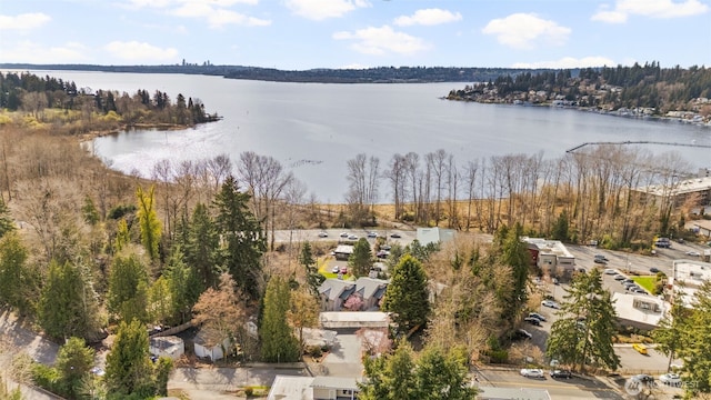 11419 99th Pl NE Unit 102, Kirkland, WA 98033 - photo 1