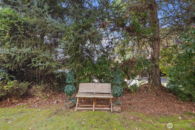 11419 99th Pl NE Unit 102, Kirkland, WA 98033 - photo 28