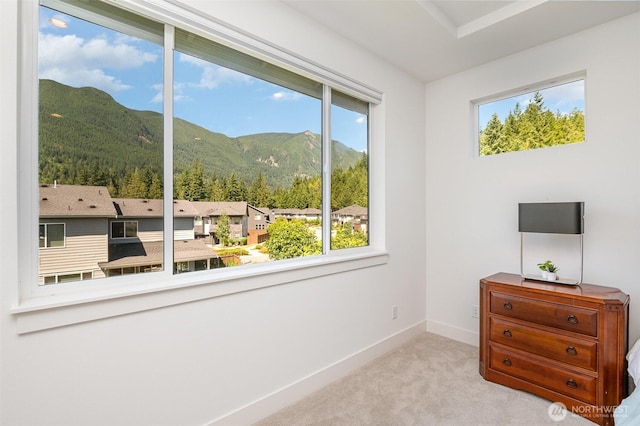 3098 SE 14th St, North Bend, WA 98045 - photo 27