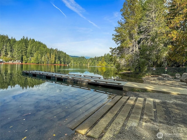 33 N Woodduck Ct E, Hoodsport, WA 98548 - photo 34
