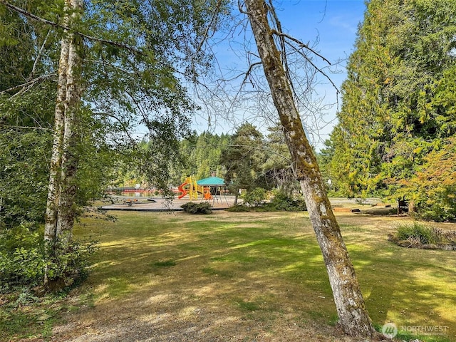 33 N Woodduck Ct E, Hoodsport, WA 98548 - photo 36