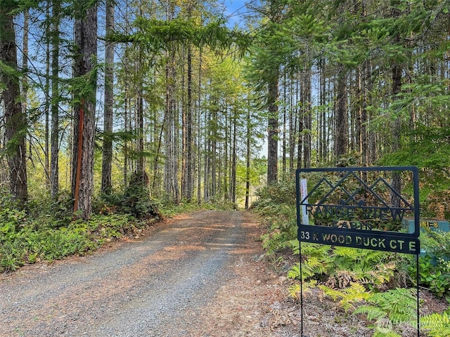 33 N Woodduck Ct E, Hoodsport, WA 98548 - photo 40