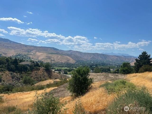 1395 Mountain Vis, Wenatchee, WA 98801 - photo 5
