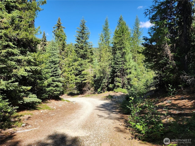 0XX E Fork Cougar Creek Rd, Wauconda, WA 98859 - photo 1