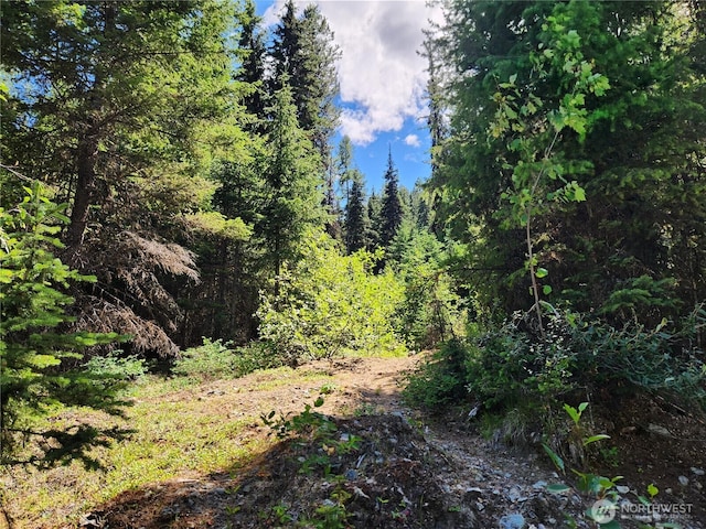0XX E Fork Cougar Creek Rd, Wauconda, WA 98859 - photo 2