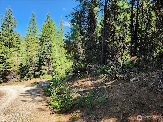 0XX E Fork Cougar Creek Rd, Wauconda, WA 98859 - photo 3