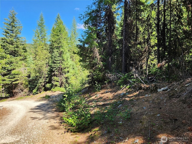 0XX E Fork Cougar Creek Rd, Wauconda, WA 98859 - photo 4