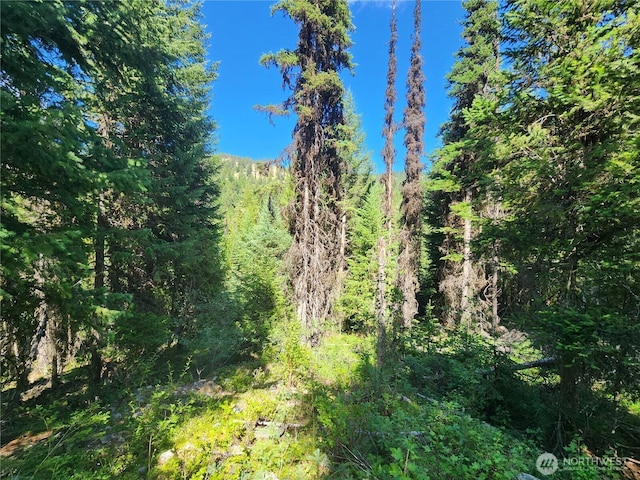 0XX E Fork Cougar Creek Rd, Wauconda, WA 98859 - photo 7