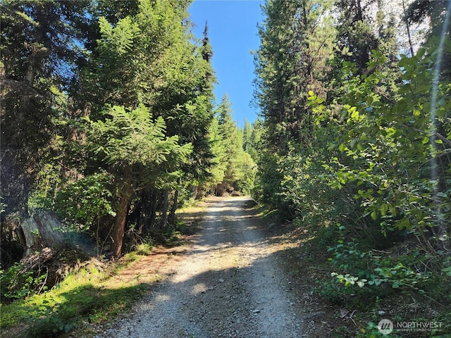 0XX E Fork Cougar Creek Rd, Wauconda, WA 98859 - photo 11
