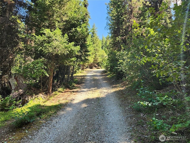0XX E Fork Cougar Creek Rd, Wauconda, WA 98859 - photo 12