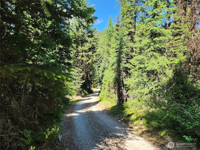 0XX E Fork Cougar Creek Rd, Wauconda, WA 98859 - photo 15