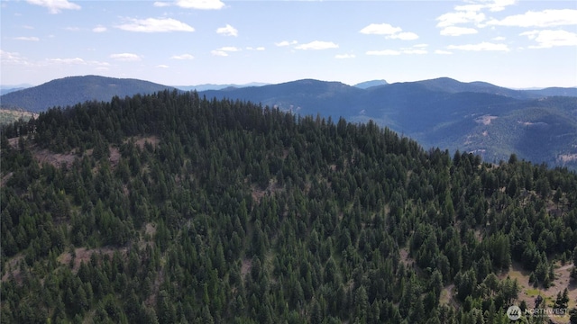 0XX E Fork Cougar Creek Rd, Wauconda, WA 98859 - photo 18