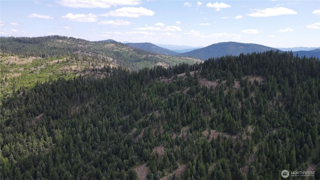 0XX E Fork Cougar Creek Rd, Wauconda, WA 98859 - photo 19