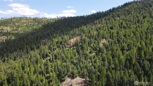 0XX E Fork Cougar Creek Rd, Wauconda, WA 98859 - photo 21