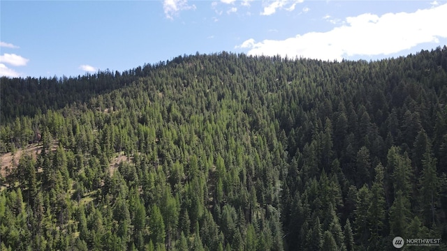 0XX E Fork Cougar Creek Rd, Wauconda, WA 98859 - photo 22