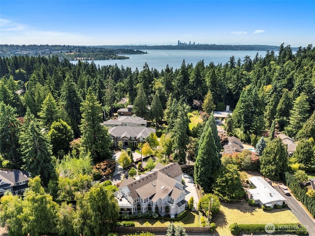 10236 Kaylen Pl SE, Bellevue, WA 98004 - photo 40