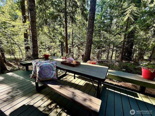 31 N Dosewallips Pl, Hoodsport, WA 98548 - photo 27