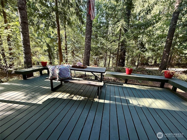 31 N Dosewallips Pl, Hoodsport, WA 98548 - photo 28