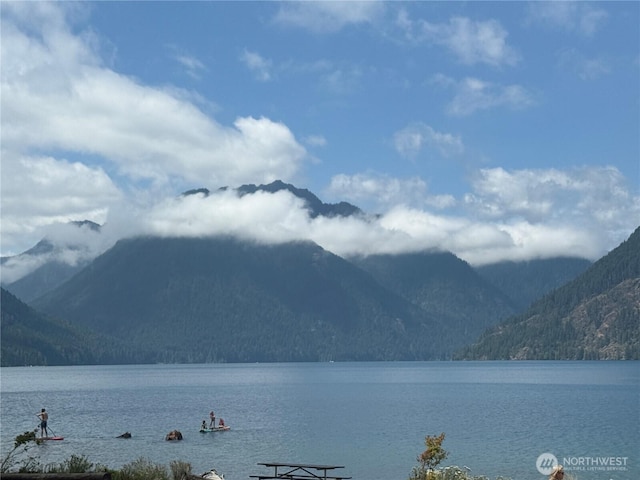 31 N Dosewallips Pl, Hoodsport, WA 98548 - photo 4