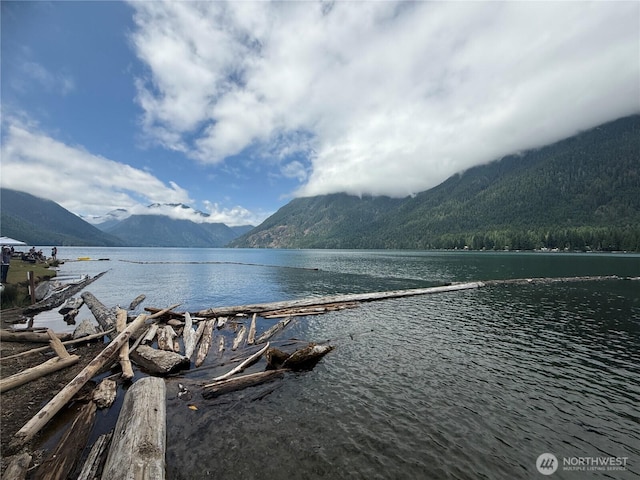 31 N Dosewallips Pl, Hoodsport, WA 98548 - photo 32
