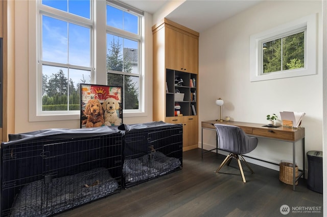 843 245th Pl NE, Sammamish, WA 98074 - photo 5