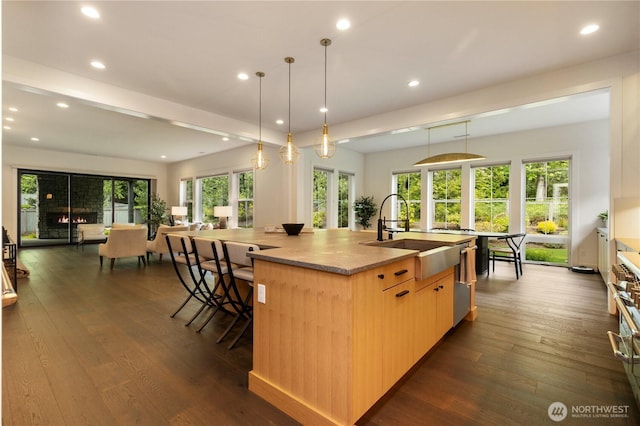 843 245th Pl NE, Sammamish, WA 98074 - photo 11