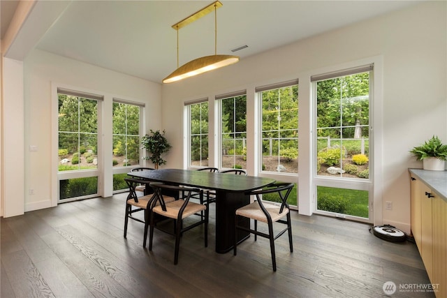 843 245th Pl NE, Sammamish, WA 98074 - photo 14