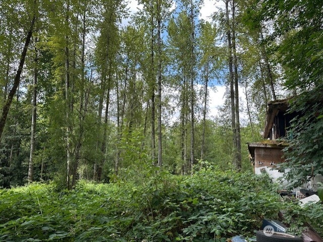 17037 Tiger Mountain Rd SE, Issaquah, WA 98027 - photo 4