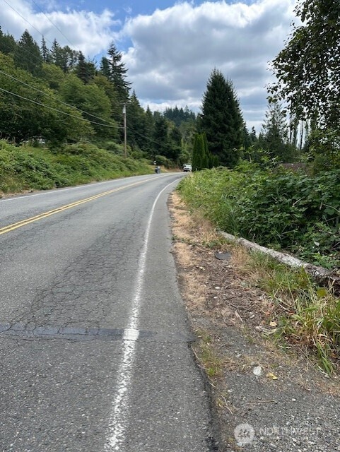 17037 Tiger Mountain Rd SE, Issaquah, WA 98027 - photo 10
