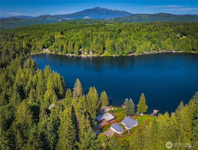 29 NW Lake Roesiger Rd, Snohomish, WA 98290 - photo 4